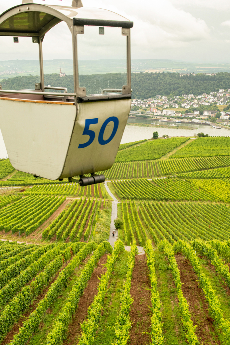 Rudesheim